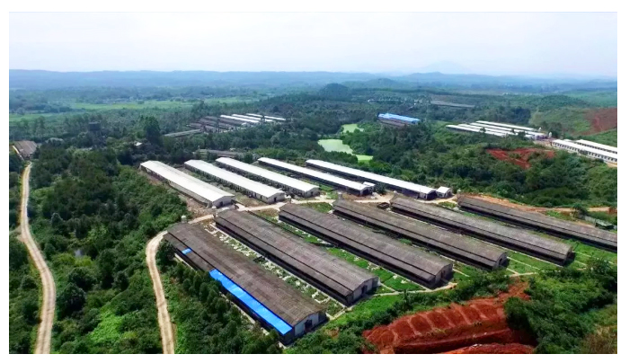 1618537667191696.jpg 2.jpg