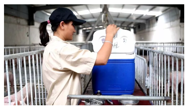 1618537785900541.png 4.png